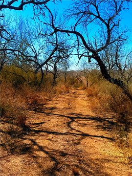 San Diego Acreage For Sale