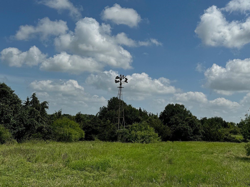 Picture 6