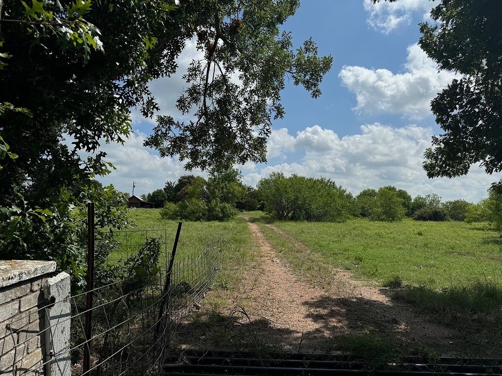 Picture 9