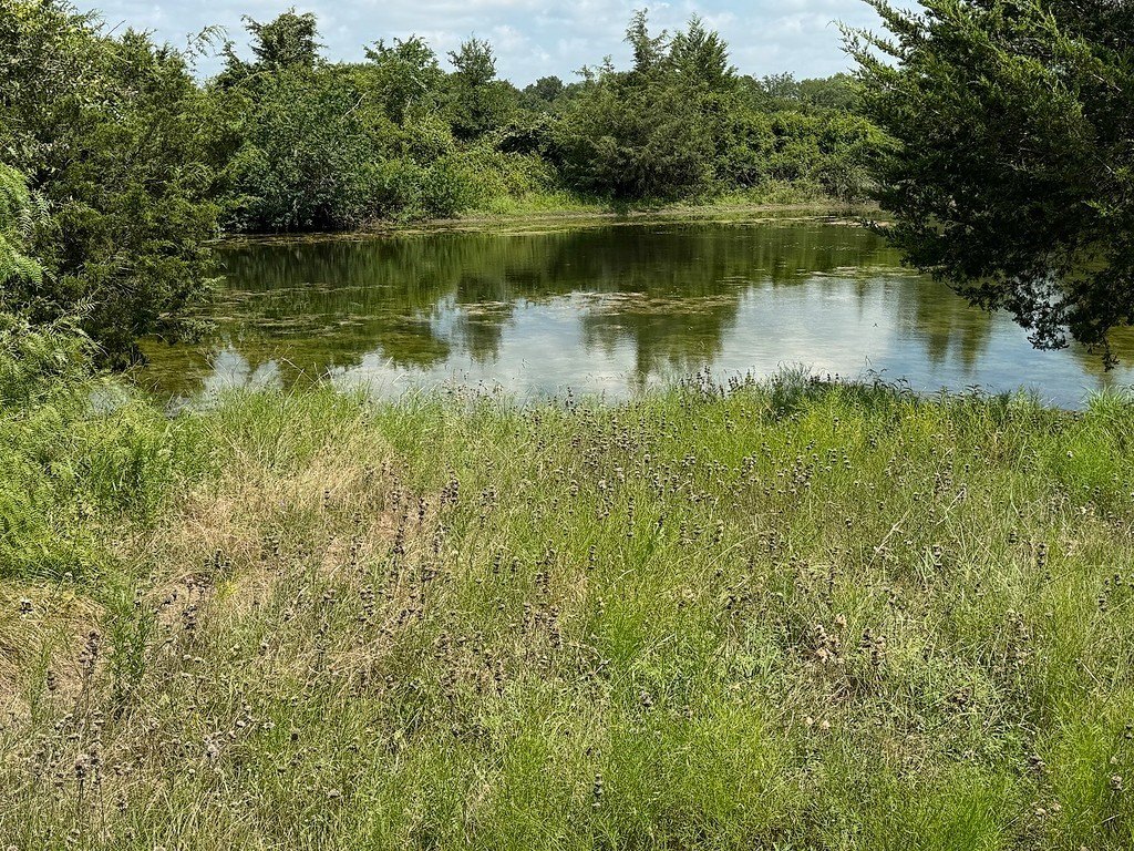 Picture 4