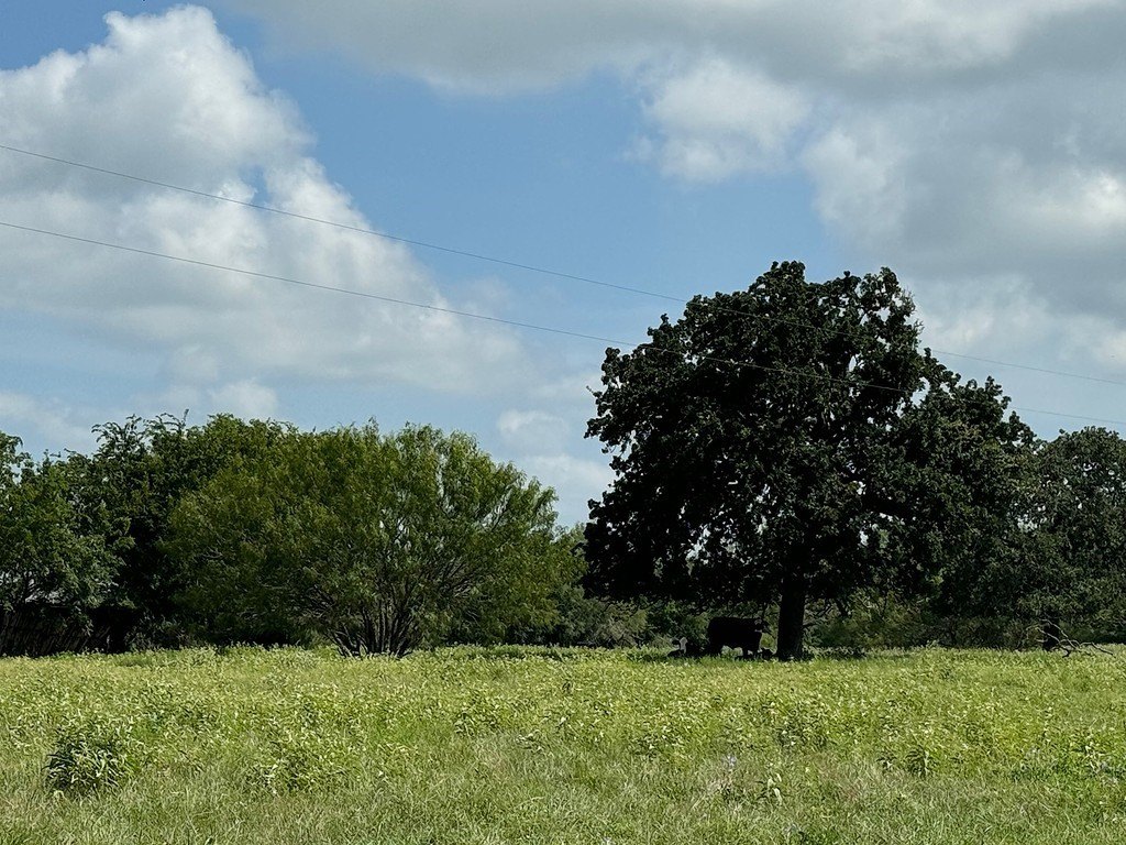 Picture 7