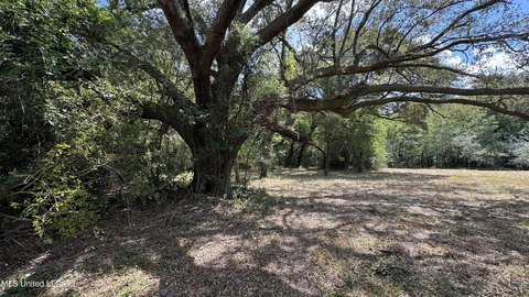 Gulfport Land Parcel For Sale