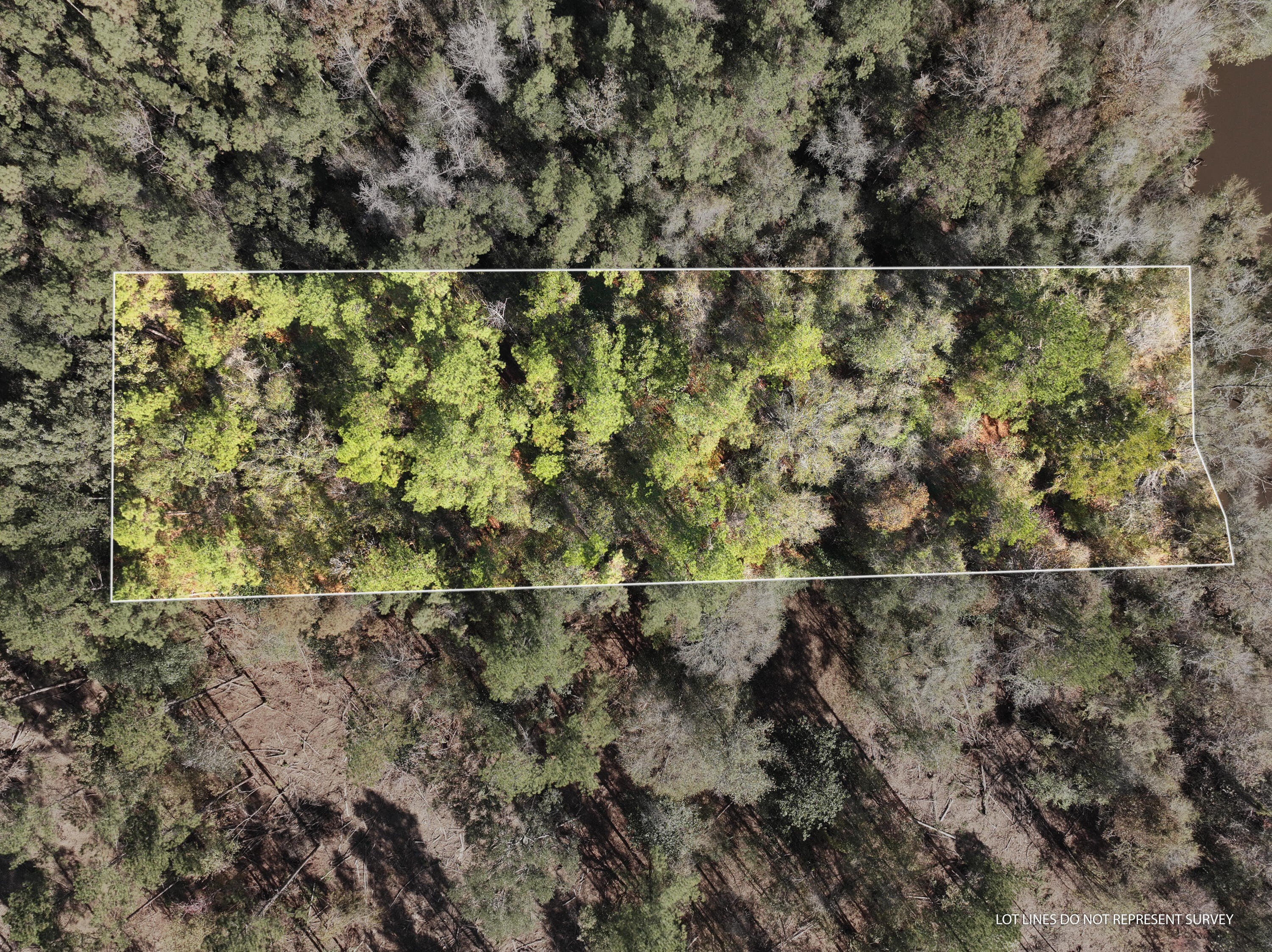 Leaf River Waterfront Acreage