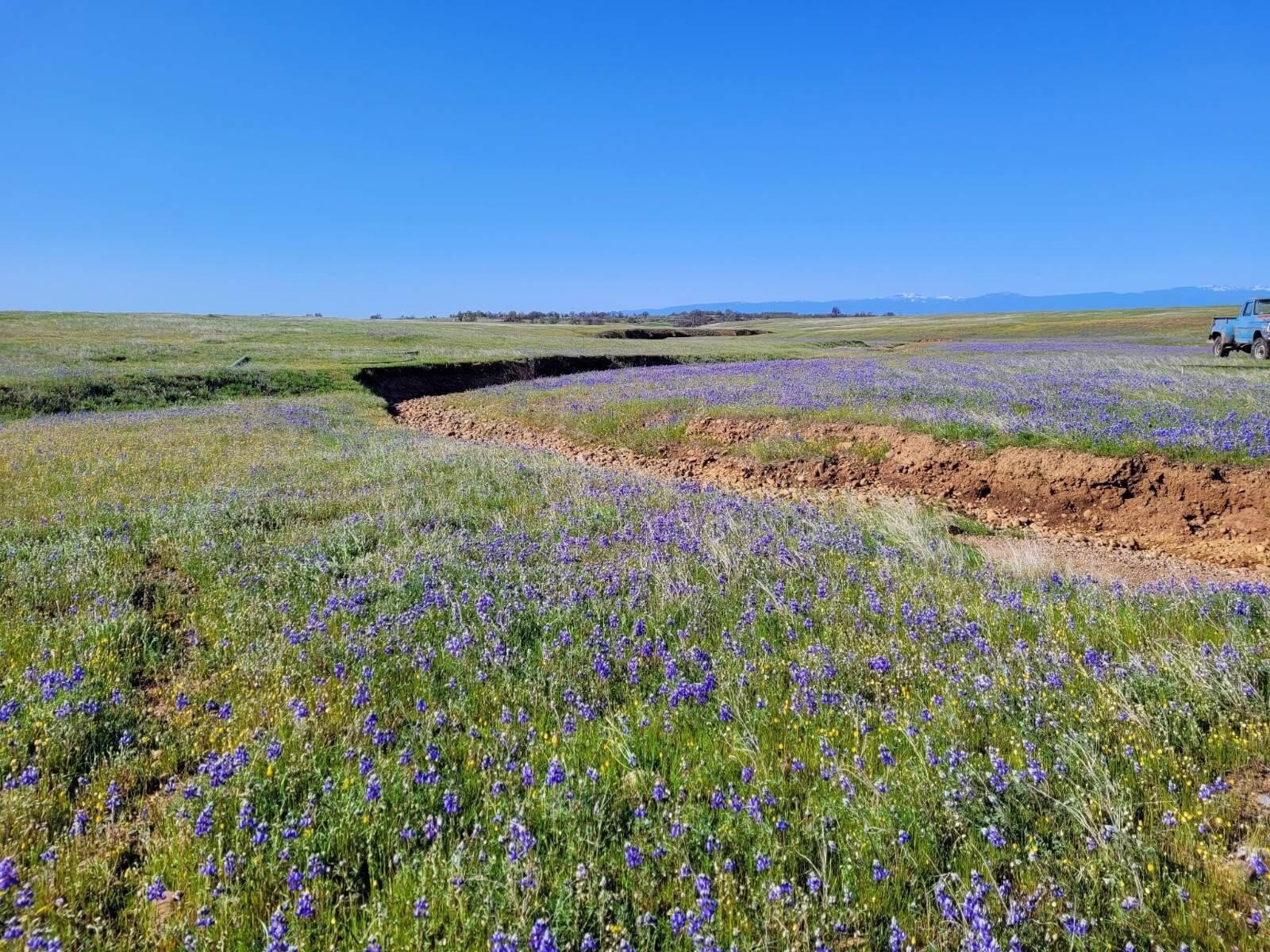 156 Acres of Scenic Land