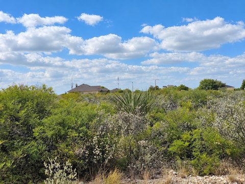 LOTS/LAND, Del Rio, TX
