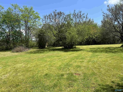 Huntsville Land with Wooded Lot