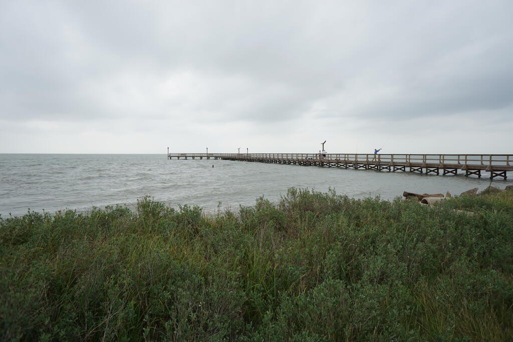 Picture 8