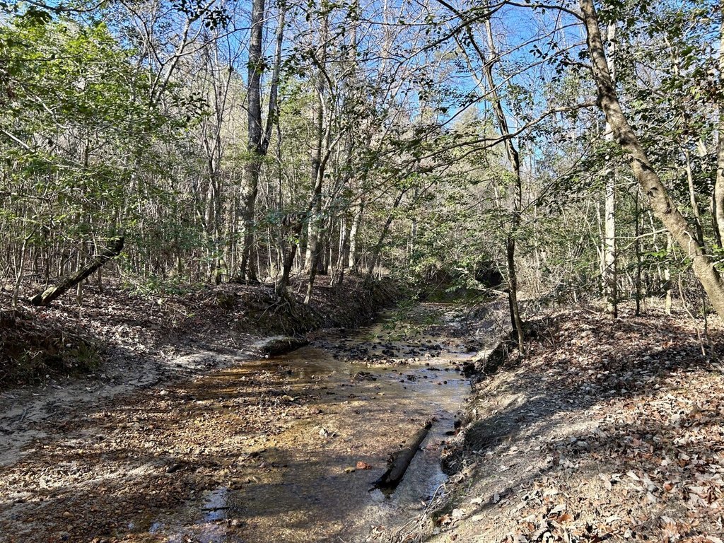 Picture 29