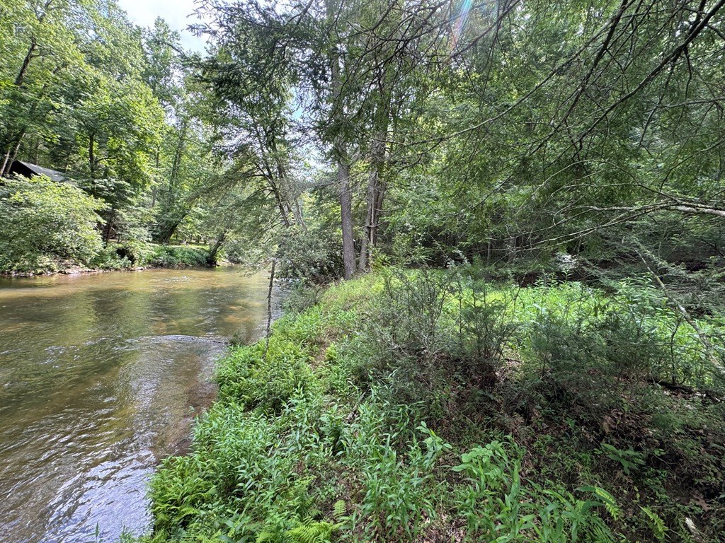 Picture 10