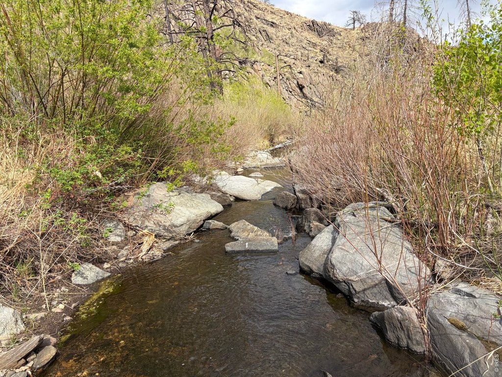 Picture 47