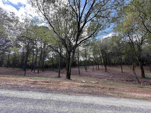 Residential Lot in Vinemont, Alabama