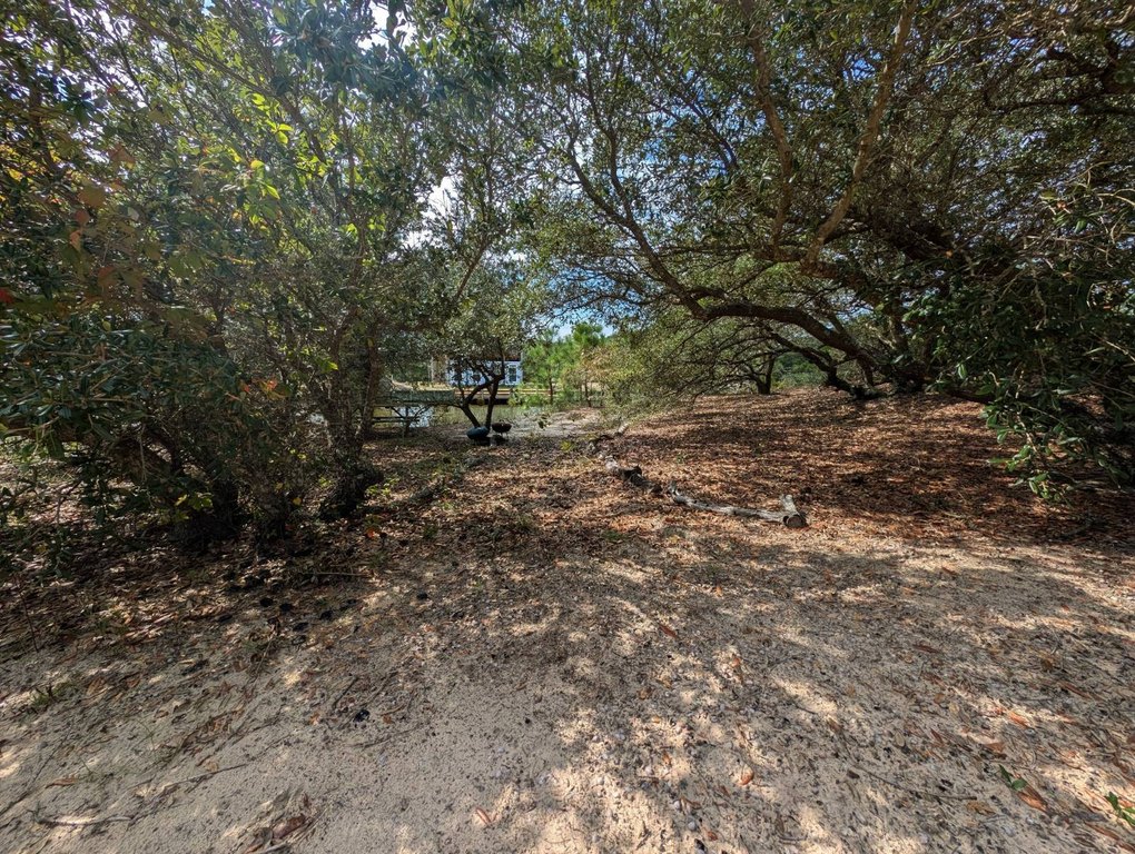 Picture 21