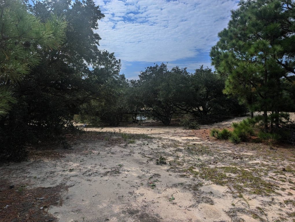 Picture 14