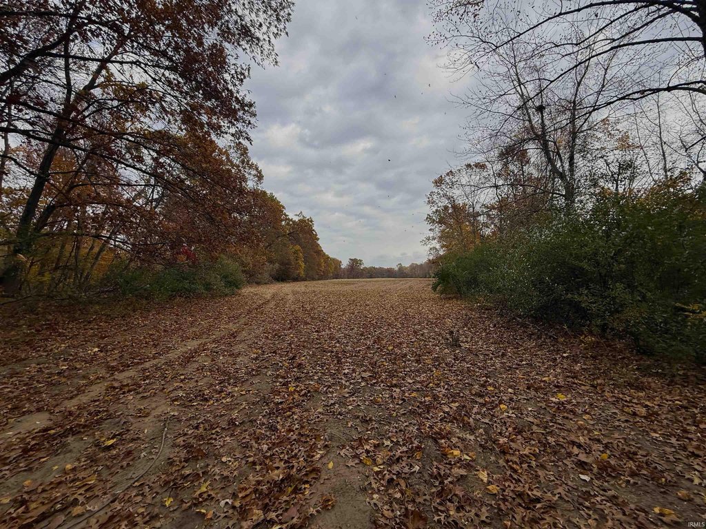 Picture 15