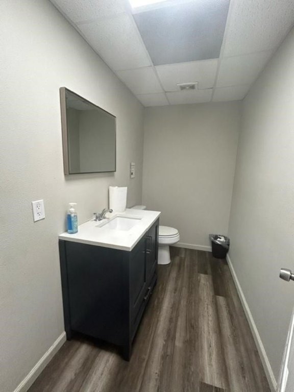 Picture 15