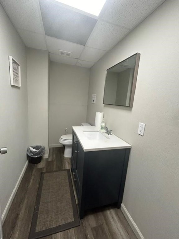 Picture 14
