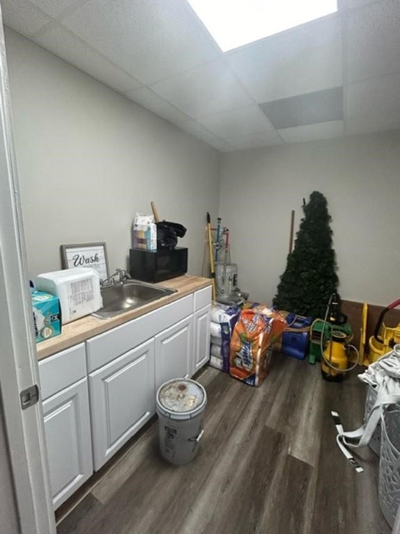 Picture 17