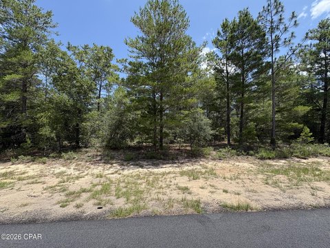 LAND - Chipley, FL