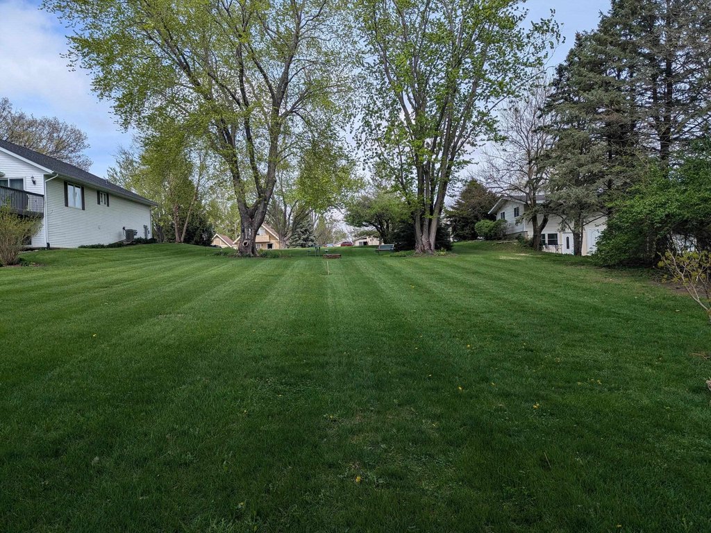 Picture 4