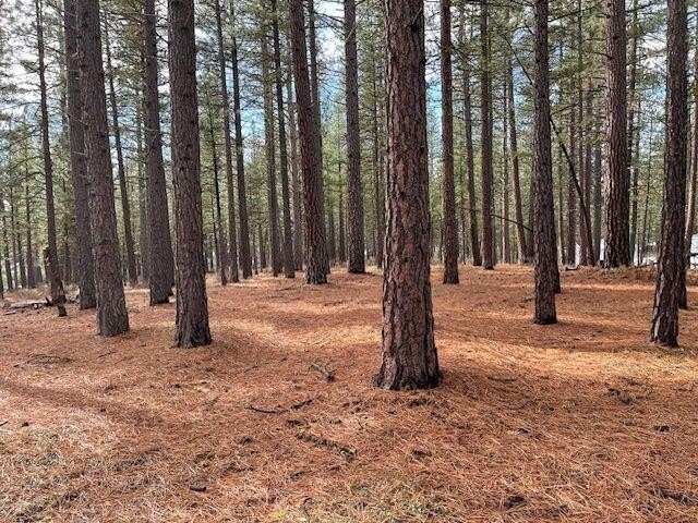 Delleker Land in Lost Sierra