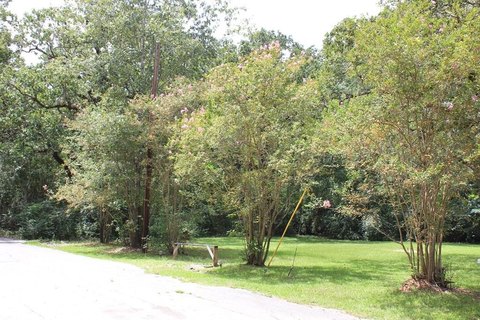 Residential Acreage in Lufkin, Texas