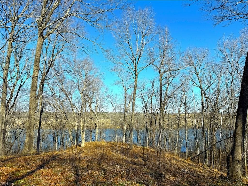 Picture 18