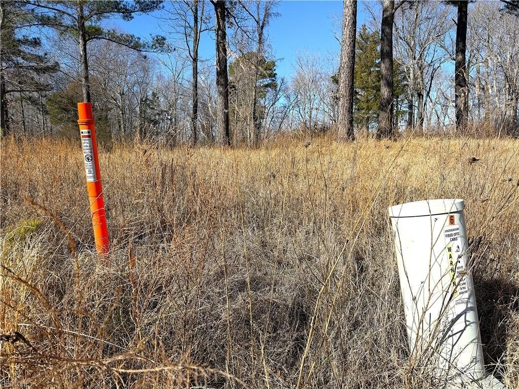 Picture 21