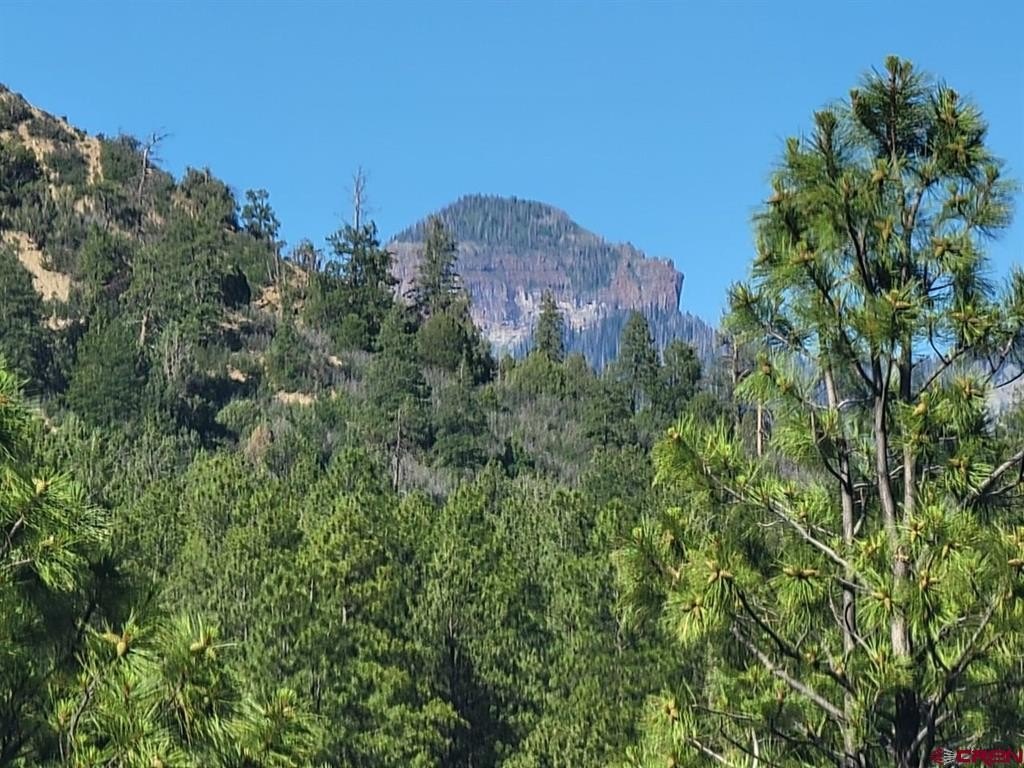 Picture 4