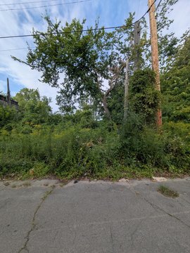 Land, Detroit, MI