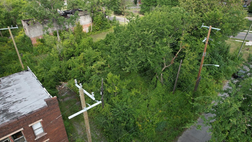 Picture 3