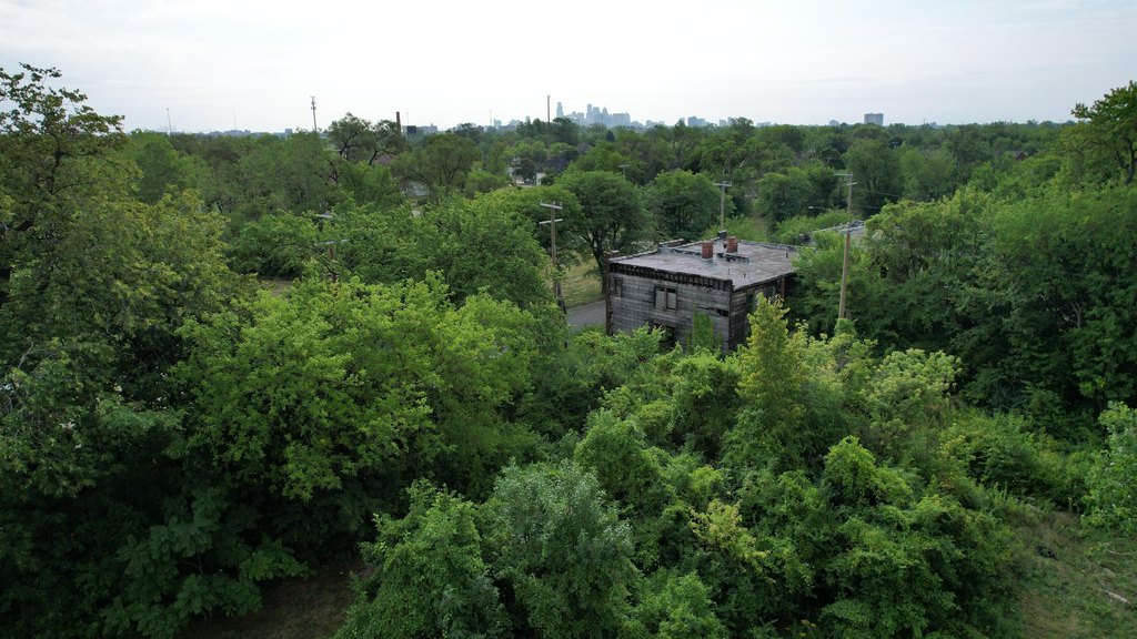 Picture 6