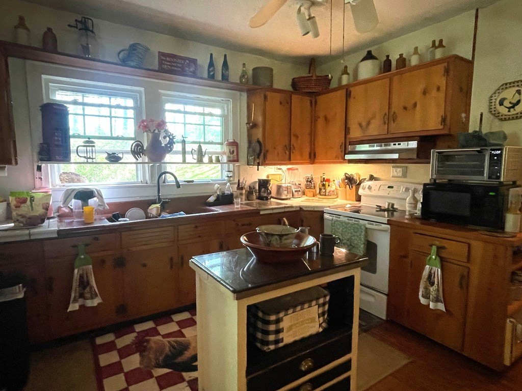 Picture 23