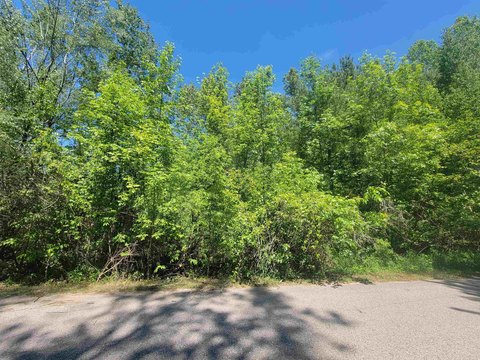Wooded Vacant Land in Gladwin
