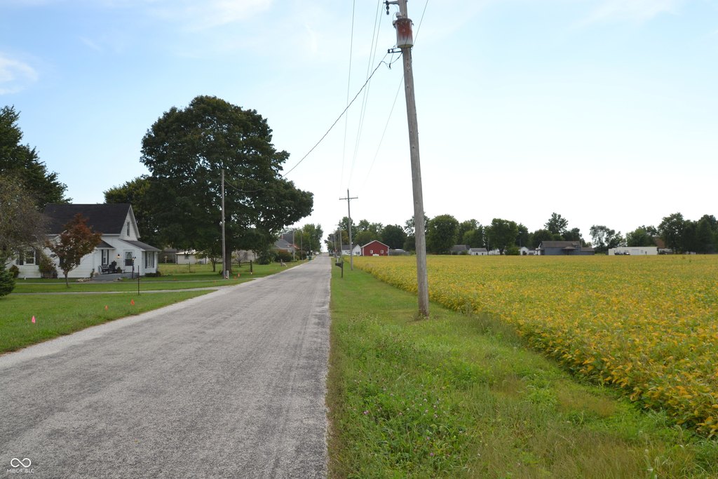 Picture 6