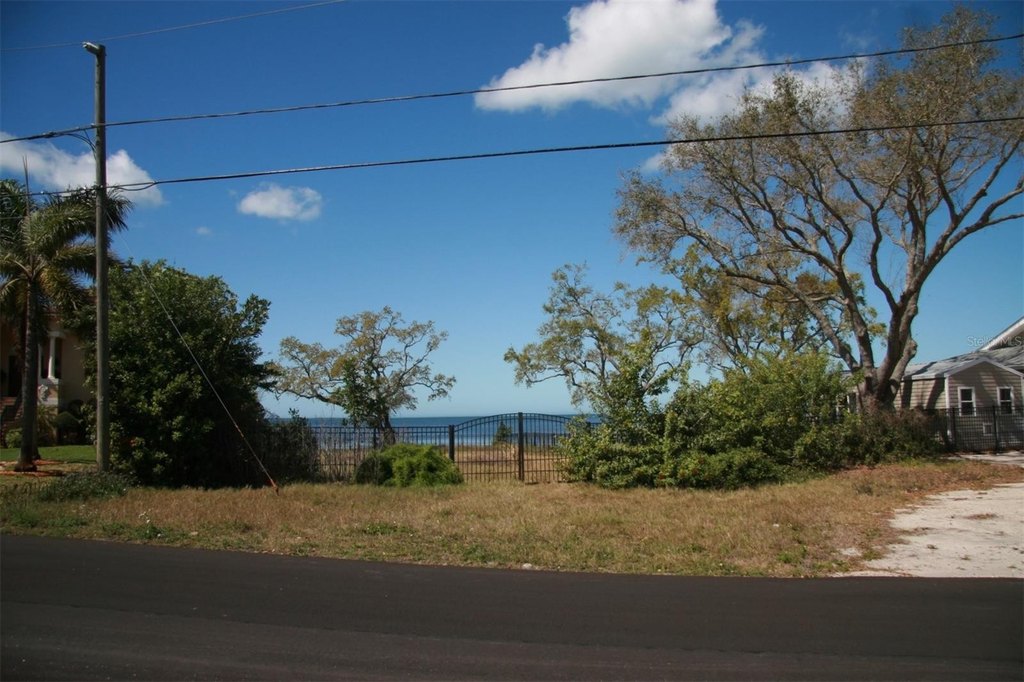 Picture 8