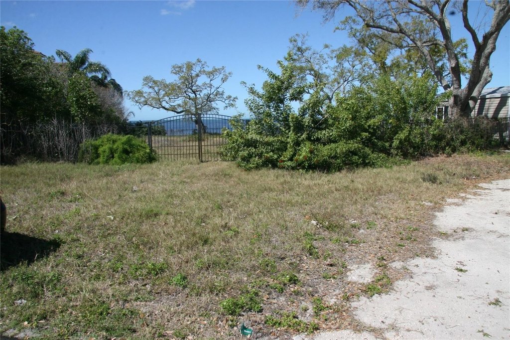 Picture 6