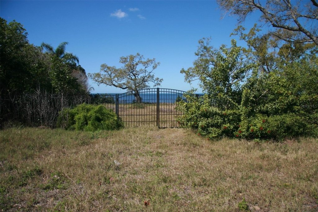 Picture 5