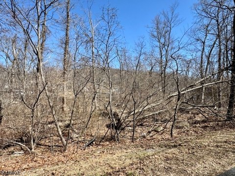 Vacant Land Near Lake Hopatcong