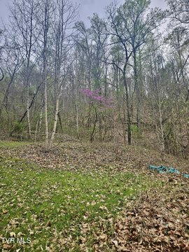 Rugged Mountain Land For Sale