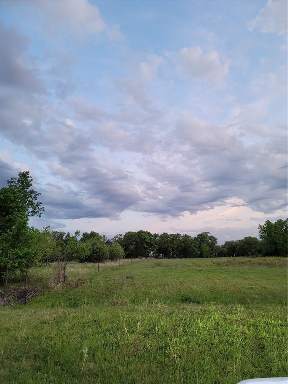Picture 18