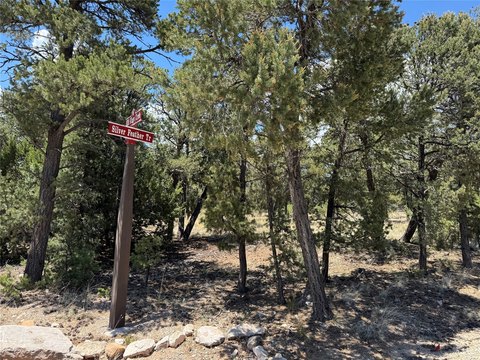 Pecos Land in Gated Community