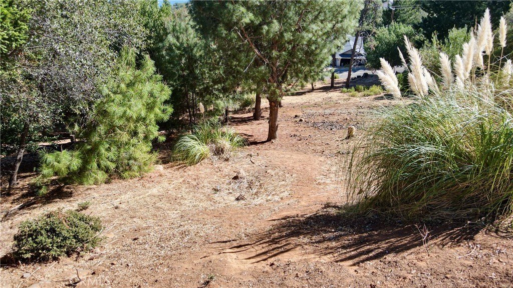 Picture 4
