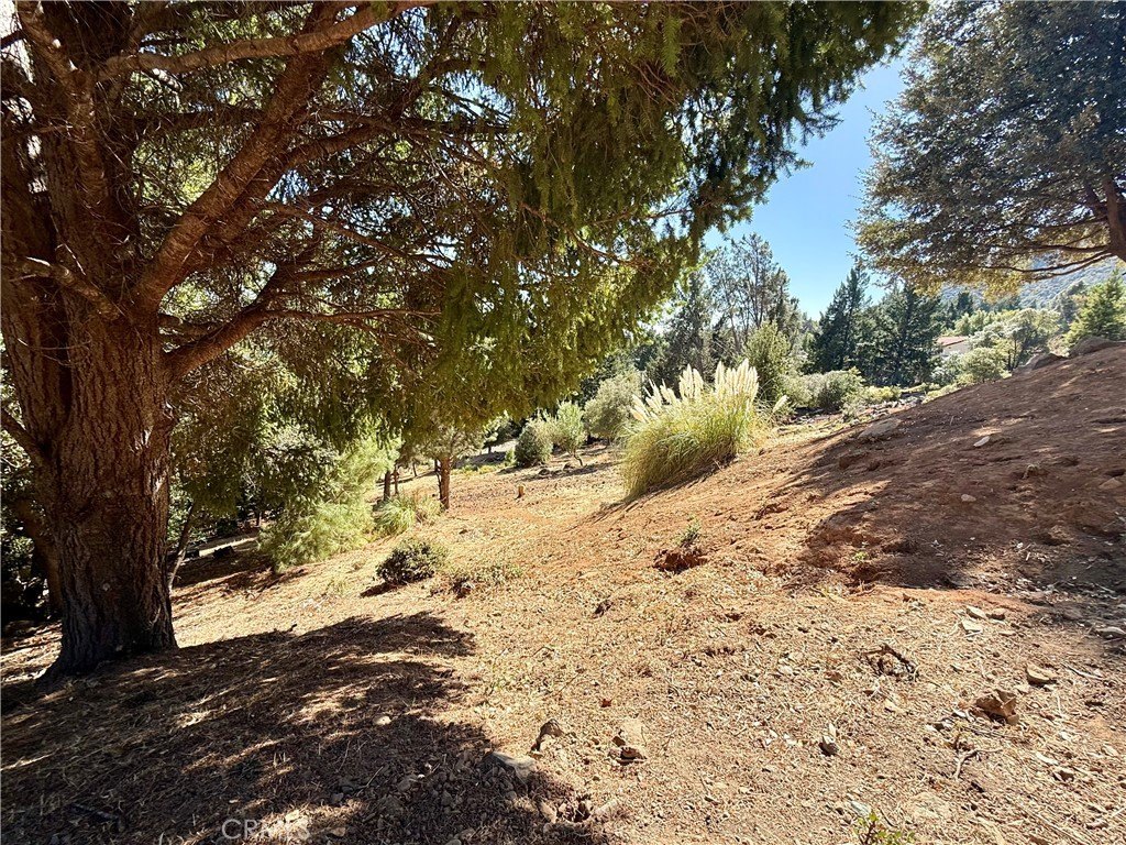 Picture 12