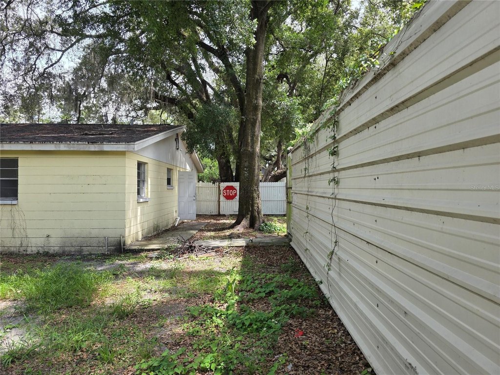 Picture 20