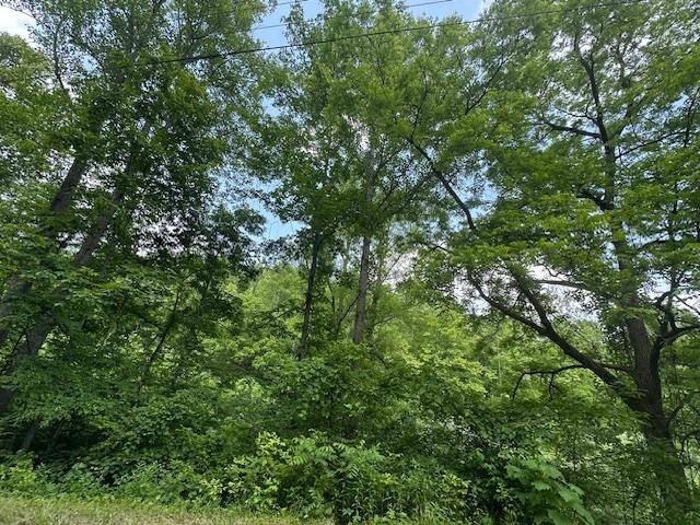 Heavily Wooded Hunting Land