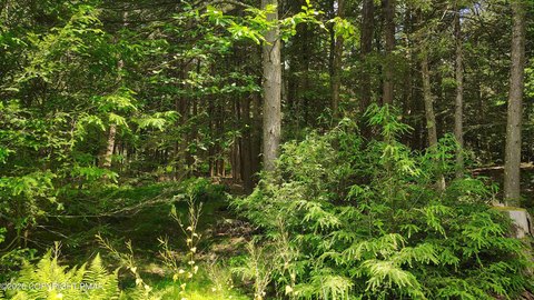 LAND - Tobyhanna, PA