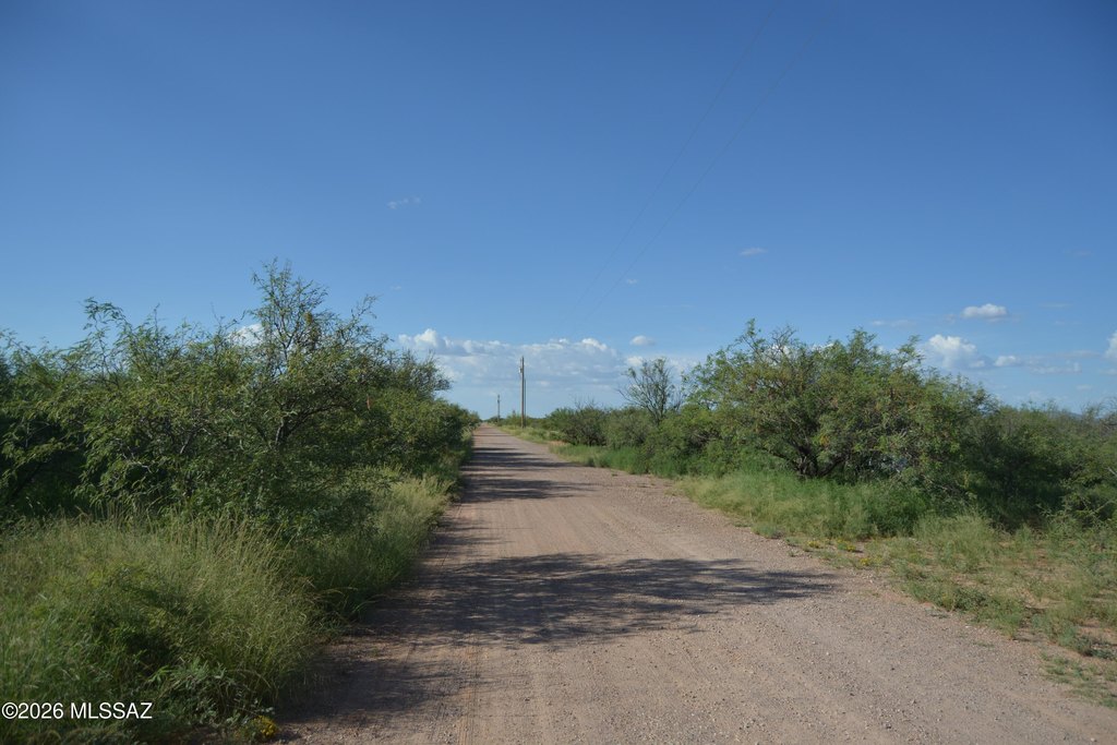 Picture 16
