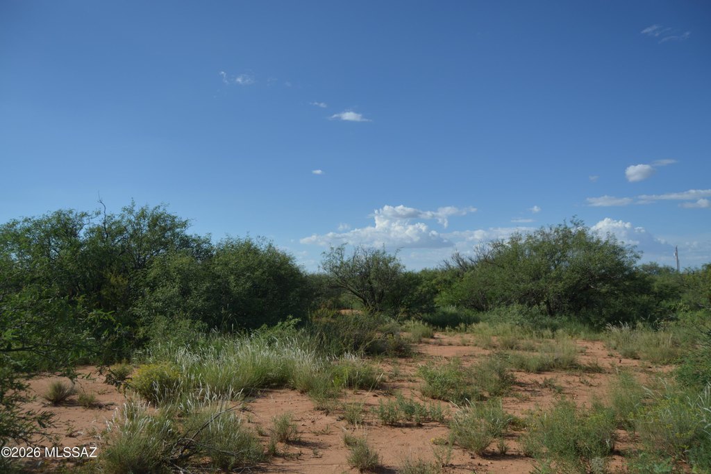 Picture 7