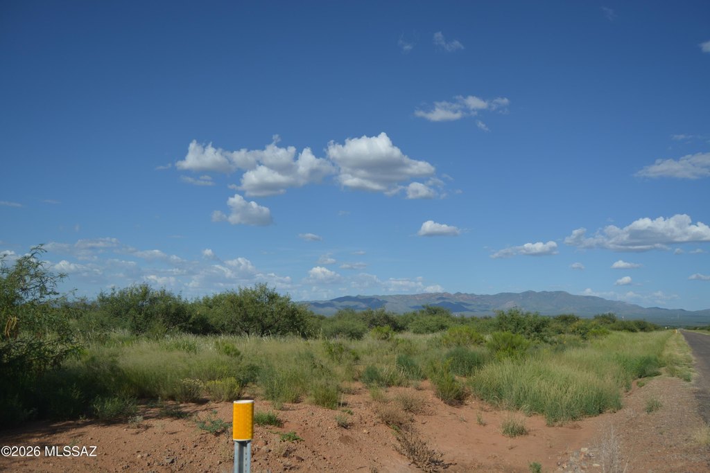 Picture 12