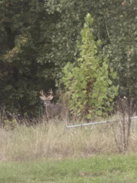 Turnkey Sportsman's Retreat Awaits